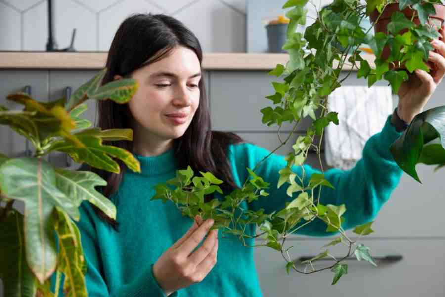 How to Use Neem Oil for Plants Plagued by Pests