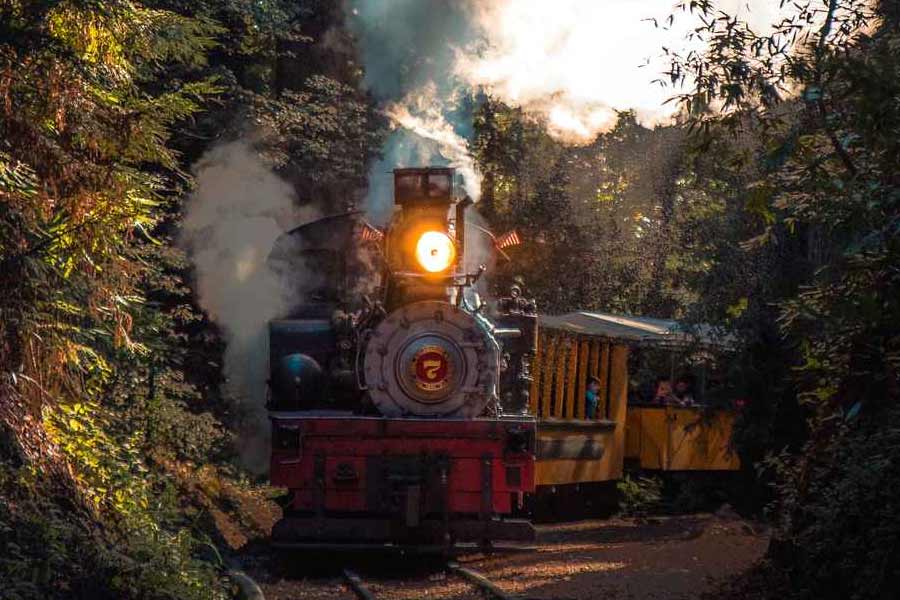 ভারতে,  দার্জিলিং ছাড়াও শিমলা, উটি, মাথেরন, পাঠানকোটেও টয় ট্রেন চলে।  সে পথের আকর্ষণও বড় কম নয়। চার চাকার গাড়ির সঙ্গে টয় ট্রেনের গতি পাল্লা দিতে পারে না ঠিকই, তবে ভ্রমণপিপাসুরা যাত্রাপথের আনন্দটুকু প্রাণ ভরে নিতে চেপে বসেন টয় ট্রেনে।