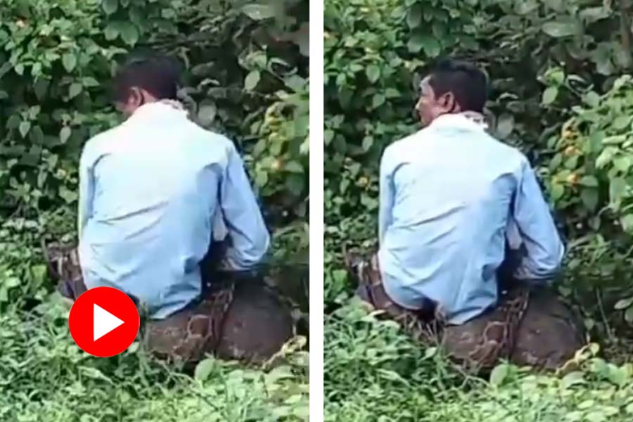 Viral Video of python and villager in Madhya Pradesh’s Jabalpur