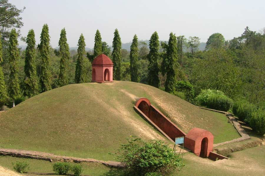 অসমের মৈদাম।