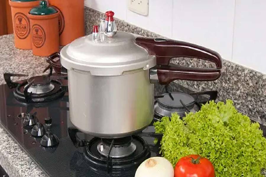 Dishes could make in a pressure cooker dgtl