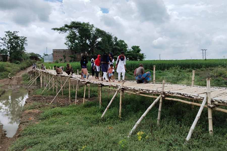 কালনার ঘুঘুডাঙার বাঁশের সাঁকো।