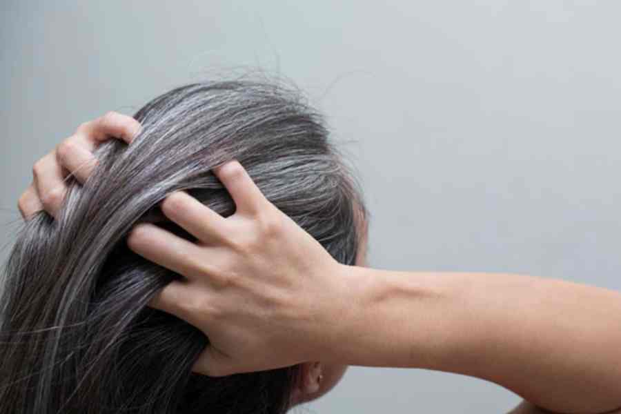 How to cover up Grey Hair very quickly