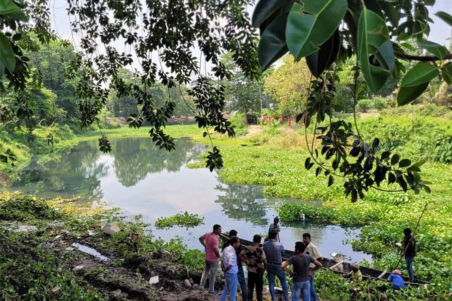 জলপাইগুড়ির করলা নদীর জলেও ‘দূষণ’।