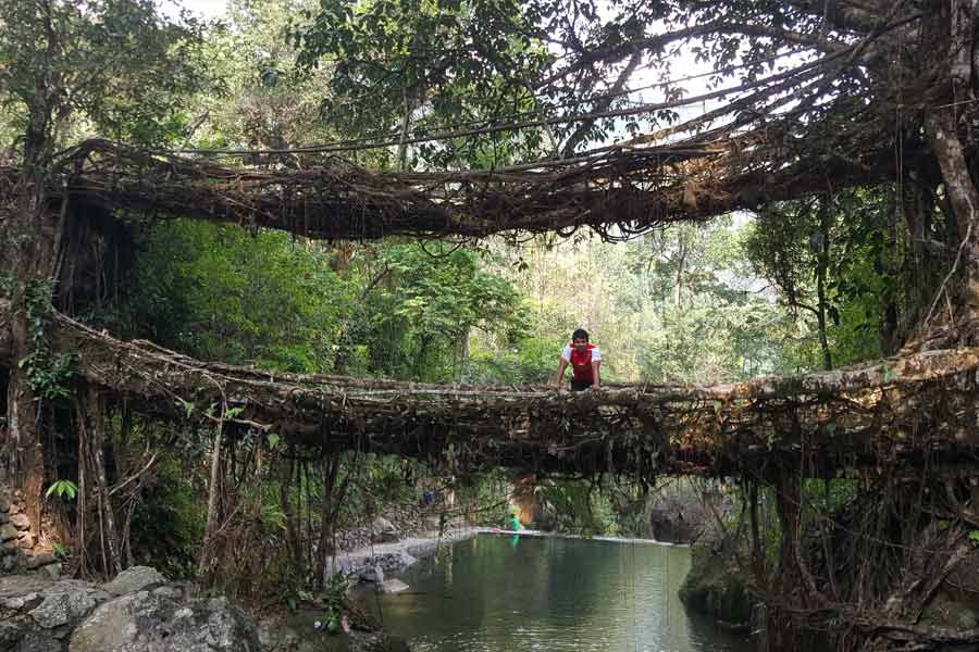 ডবল ডেকার লিভিং রুট ব্রিজ।