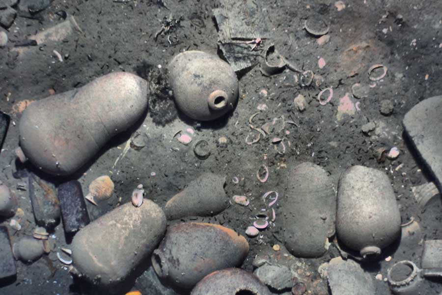 হোলি গ্রেইল  হল খ্রিস্টানদের পবিত্রতম সম্পদ। তাঁরা বিশ্বাস করেন, গ্রেইল হল এমন এক পেয়ালা বা পিরিচ বা পাথর, যার অবিশ্বাস্য ক্ষমতা রয়েছে। আবার অনেকে বলেন, ওই পেয়ালা বা পিরিচেই যিশু খ্রিস্ট তাঁর মৃত্যুর আগের শেষ খাবার খেয়েছিলেন। মোট কথা, ধরাছোঁয়ার বাইরে থাকা অবিশ্বাস্য এক সম্পদ হল হোলি গ্রেইল। নাগালের বাইরে থাকা ওই বিপুল পরিমাণ সম্পদও তাই এমন অভিধা পেয়েছিল।