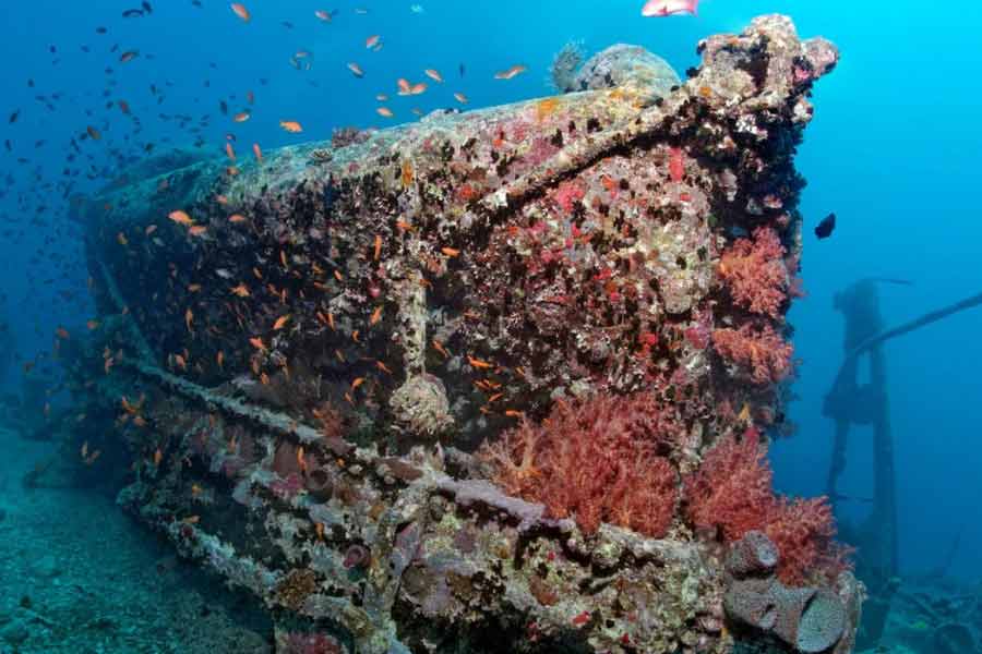 সমস্ত রকম আধুনিক প্রযুক্তিকে সঙ্গে নিয়ে কাজে নেমেছে তারা। আপাতত চলছে ‘ক্যারেক্টারাইজ়েশন ফেজ়’। যে পর্বে রিমোট সেন্সর ব্যবহার করে সমুদ্রের বুকে ওই জাহাজ যেখানে ডুবে রয়েছে, তার একটা স্পষ্ট ছবি তৈরি করা হবে।