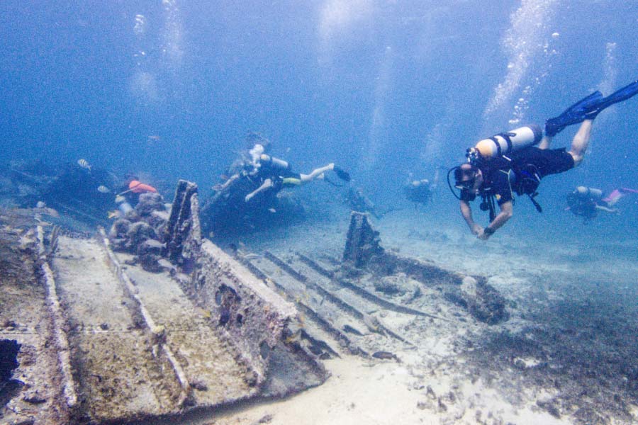 এই দুই অভিযান থেকে যে সমস্ত তথ্য আহরণ করবে কলম্বিয়া সরকার, তার ভিত্তিতে কলম্বিয়ান ইনস্টিটিউট অফ অ্যানথ্রোপলজি সিদ্ধান্ত নেবে পরবর্তী পদক্ষেপ কী হবে।