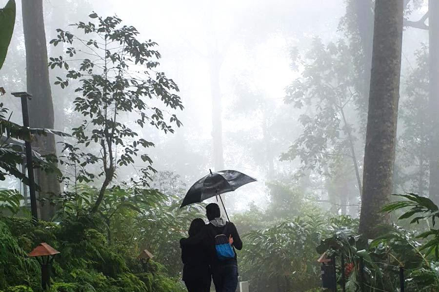 বর্ষায় মধুচন্দ্রিমা। পাহাড়, সমুদ্র কোথায় যাবেন?