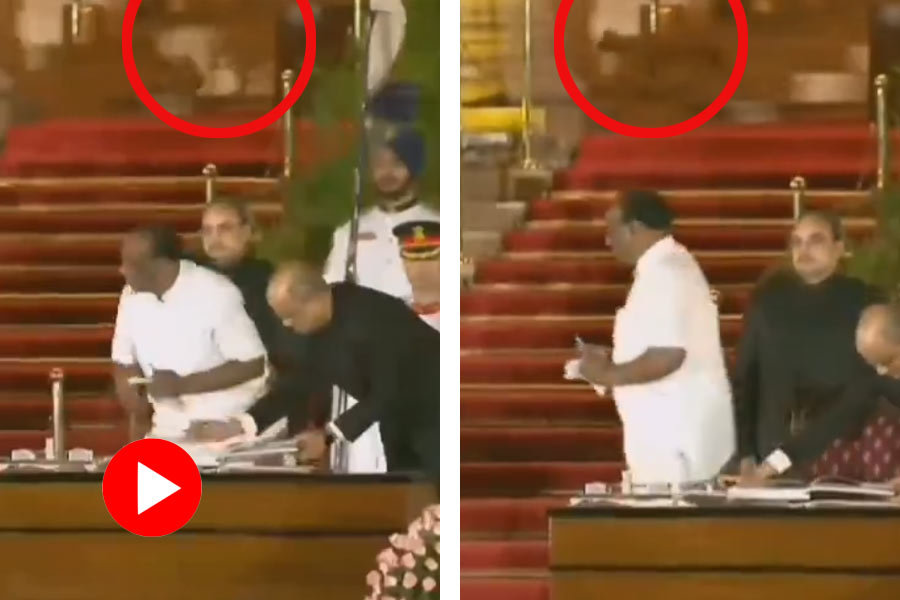 Leopard at Rashtrapati Bhavan? Video of mystery animal during oath goes viral