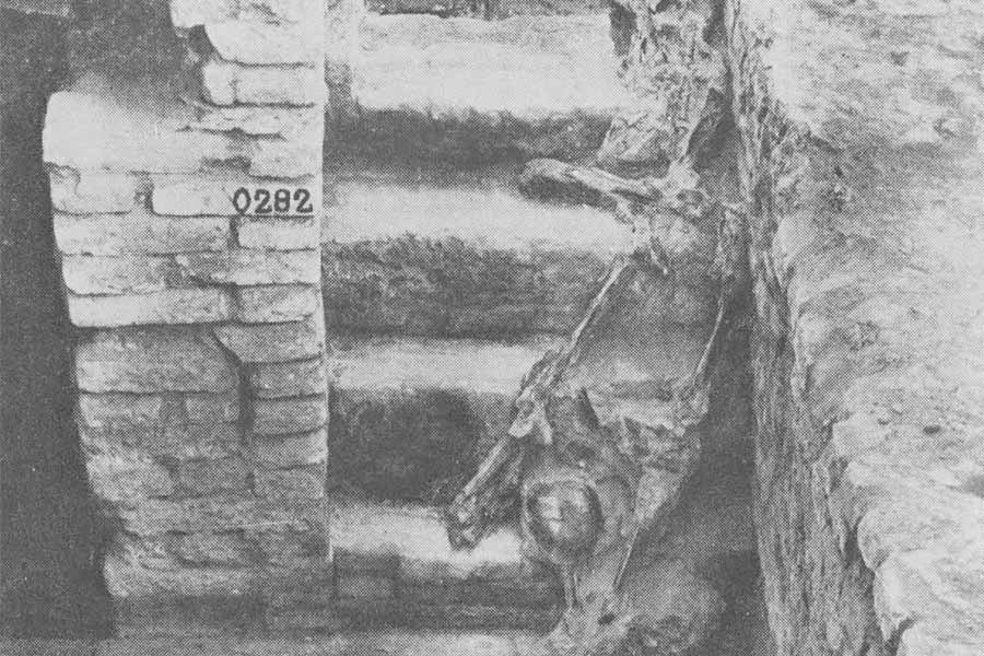 তেজস্ক্রিয়তার চিহ্ন পেয়ে বিজ্ঞানী এবং প্রত্নতত্ত্ববিদেরা মিলে নির্দিষ্ট এলাকায় গবেষণা শুরু করেন। খননকার্যের পর সেখানে একটি প্রাচীন আবাসন আবিষ্কার করেন তাঁরা।