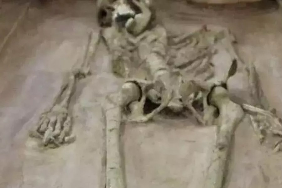 বিজ্ঞানীদের দাবি, মহাভারতেও নাকি এক ভয়াবহ বিস্ফোরণের কথা উল্লেখ করা হয়েছে। বিস্ফোরণে চারদিক কাঁপানো একটি শব্দ হয়। সঙ্গে ভয়াবহ আগুন এবং ধোঁয়া। মৃতদেহগুলি এমন ভাবে পুড়ে গিয়েছিল যে, সেগুলি চেনাই নাকি মুশকিল হচ্ছিল। খাদ্যশস্য নষ্ট হয়ে যায়। আগুনের হাত থেকে নিজেদের বাঁচাতে নাকি নদীতে ঝাঁপ দেন মানুষ।