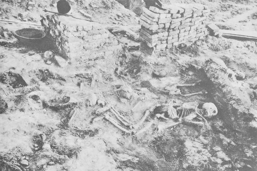 এমনকি, খননকার্যের সময় প্রত্নতত্ত্ববিদেরা লক্ষ করেন যে, রাস্তায় কঙ্কালের সারি। দেখে মনে হয় মৃত্যুর সময় যেন সবাই প্রিয়জনের হাত ধরে ছিলেন।