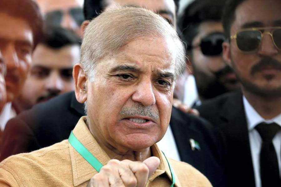 Pakistan donkey population increased by one lakh in one year