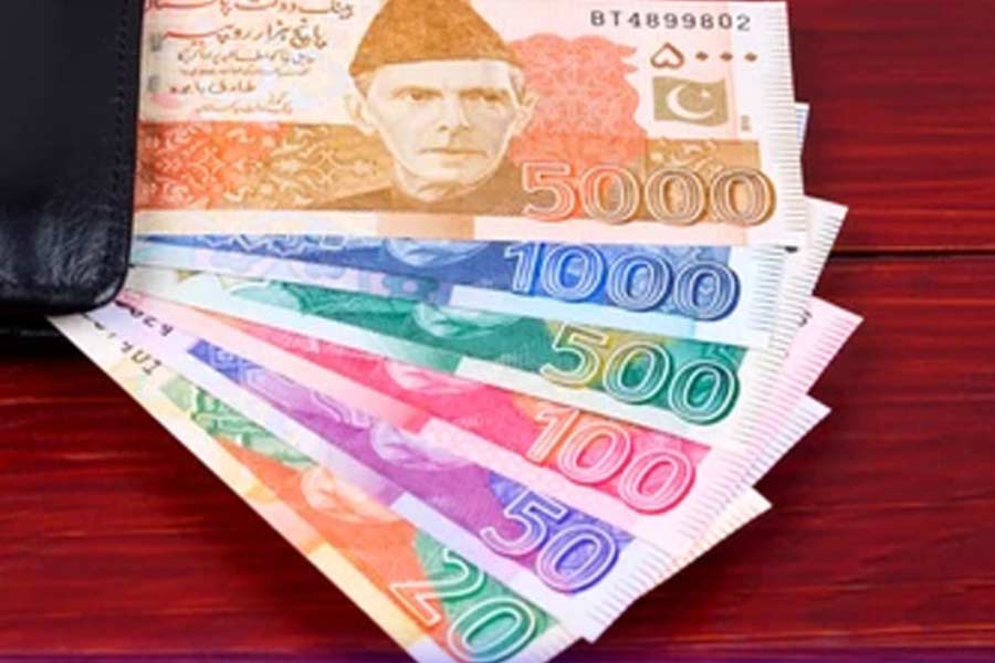 Pakistan donkey population increased by one lakh in one year