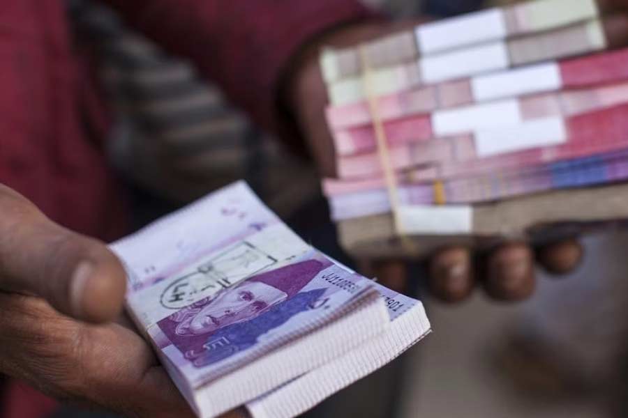 Pakistan donkey population increased by one lakh in one year