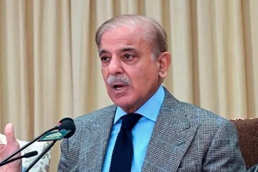 Pakistan donkey population increased by one lakh in one year