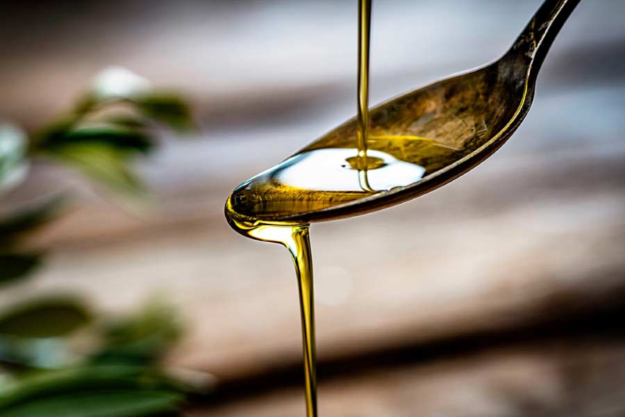 Pakistan donkey population increased by one lakh in one year