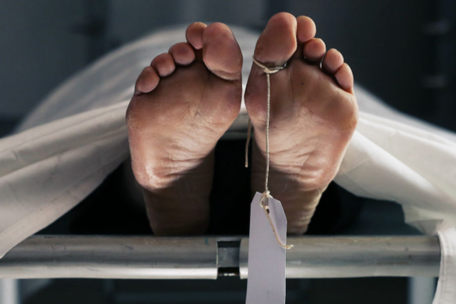 Who is Pavithra Gowda, partner of Actor Darshan accused of medical shop worker killed