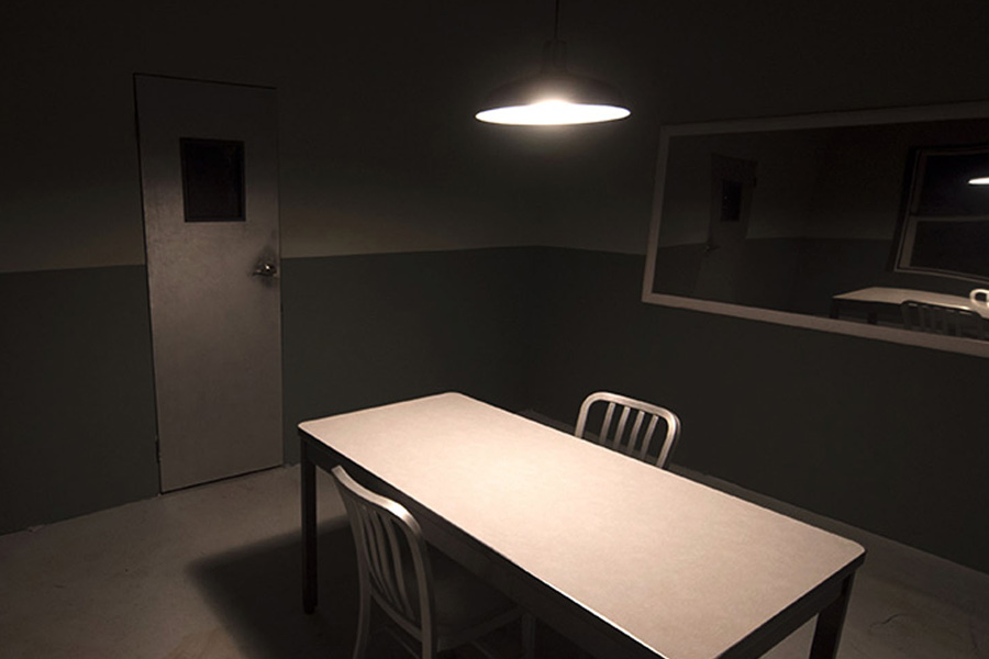 Who is Pavithra Gowda, partner of Actor Darshan accused of medical shop worker killed