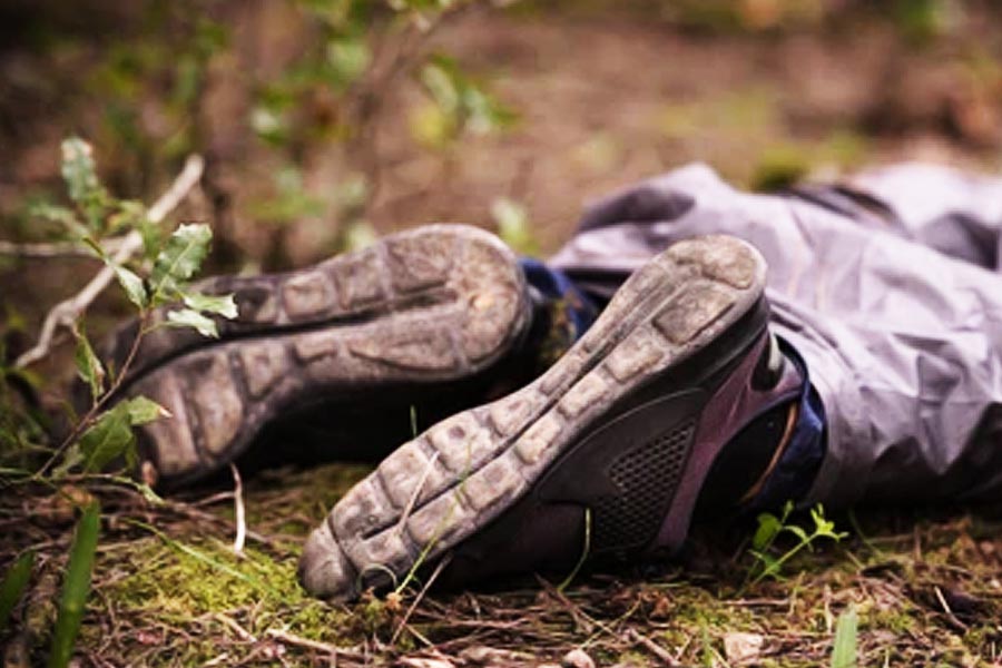 Who is Pavithra Gowda, partner of Actor Darshan accused of medical shop worker killed