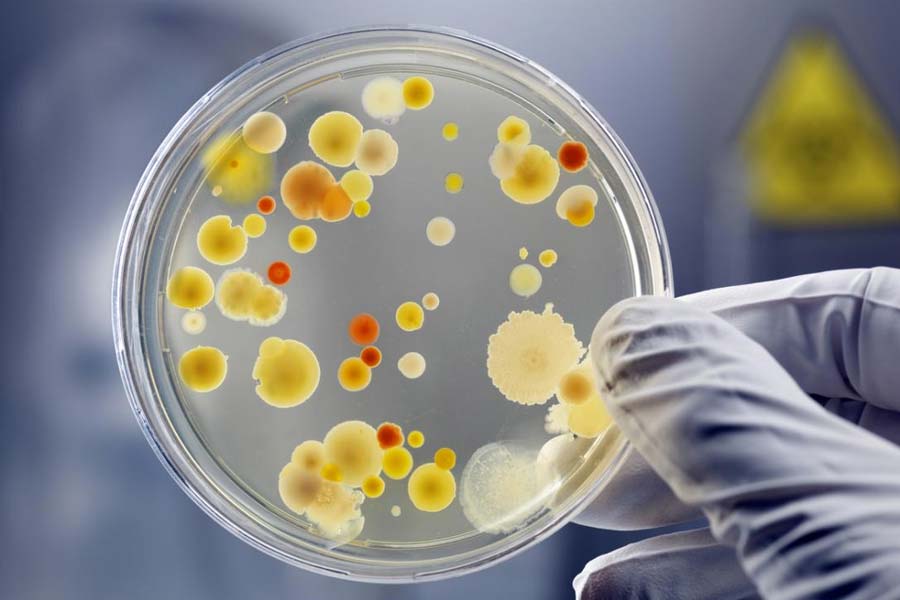 All you need to know about Super Bug and how much it can affect scientists in International Space Station 