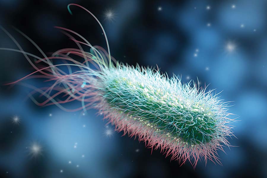 All you need to know about Super Bug and how much it can affect scientists in International Space Station 
