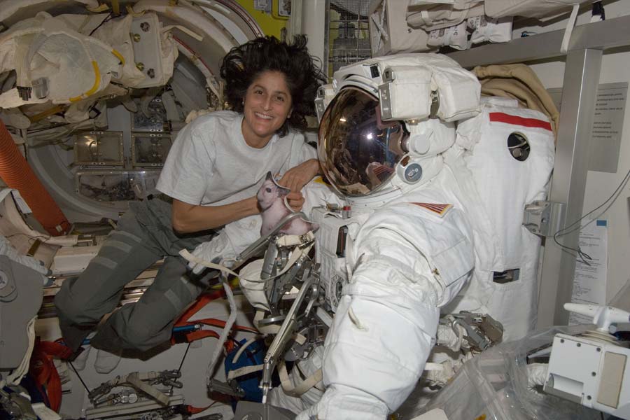 All you need to know about Super Bug and how much it can affect scientists in International Space Station 