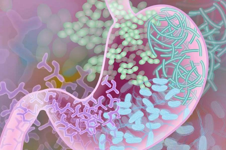All you need to know about Super Bug and how much it can affect scientists in International Space Station 