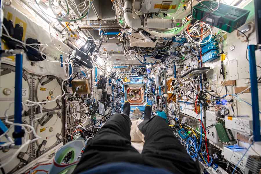 All you need to know about Super Bug and how much it can affect scientists in International Space Station 