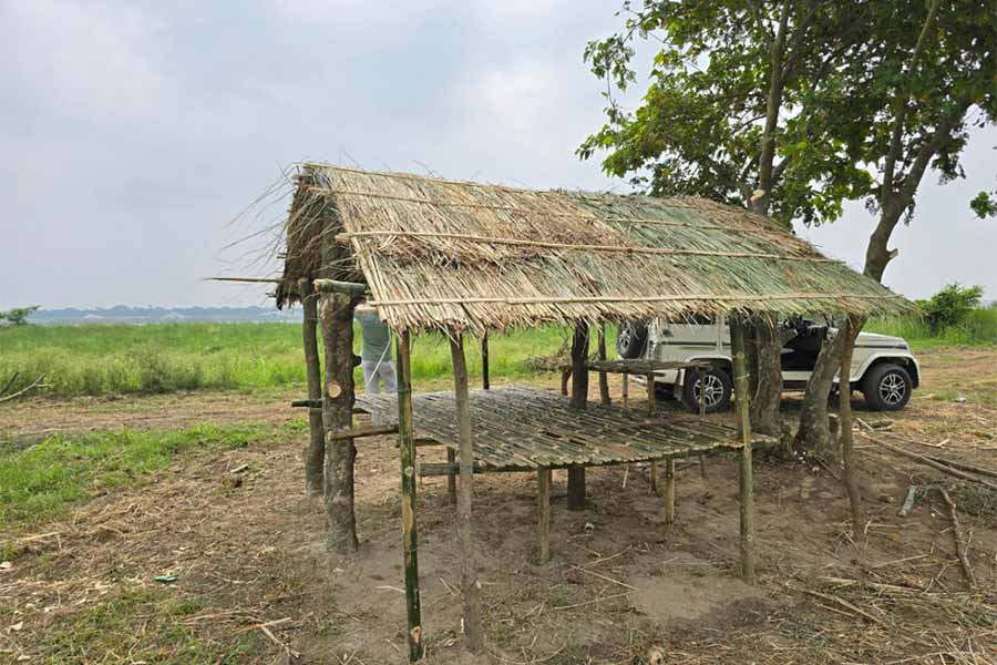 সাগরপাড়ার সাহেবনগর গ্রাম পঞ্চায়েত এলাকার বিভিন্ন জায়গায় নো ম্যানস এলাকায় তৈরি হল বিএসএফের বিওপি।