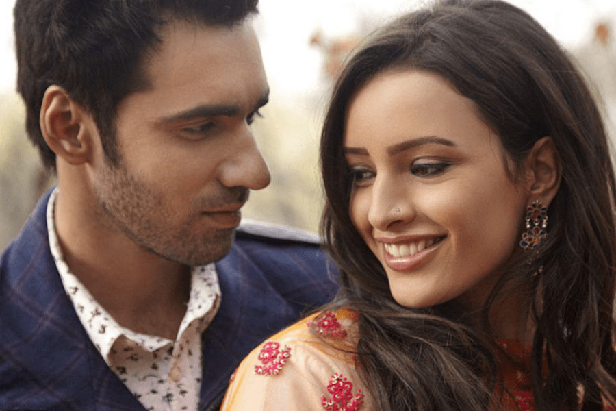 Tripti Dimri in Laila Majnu movie