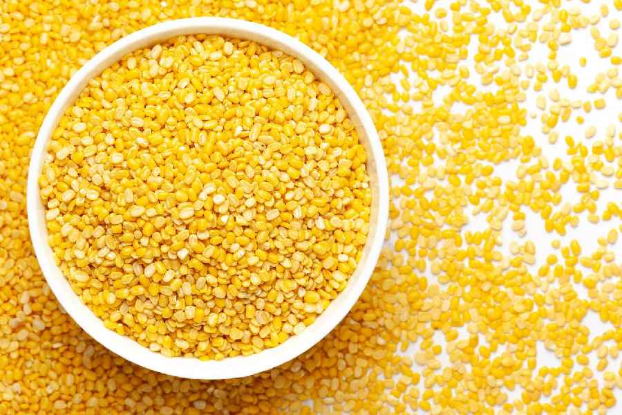 Types of dals and how much protein they contain 