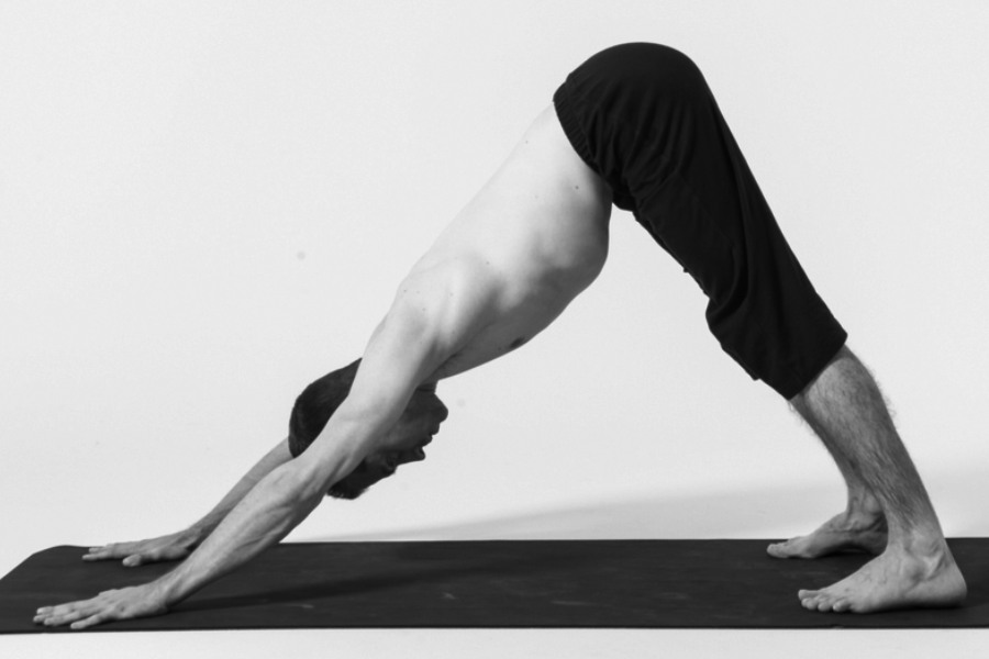 Adho mukha Svanasana