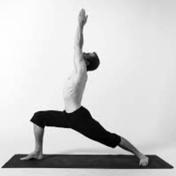 Birbhadrasana