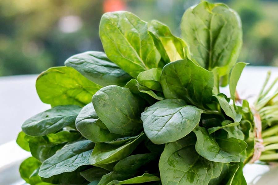 Three healthy ways to add spinach to your daily meals