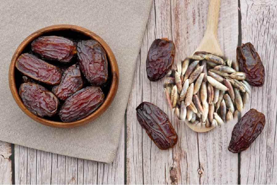 Dates seeds may help to control blood sugar levels