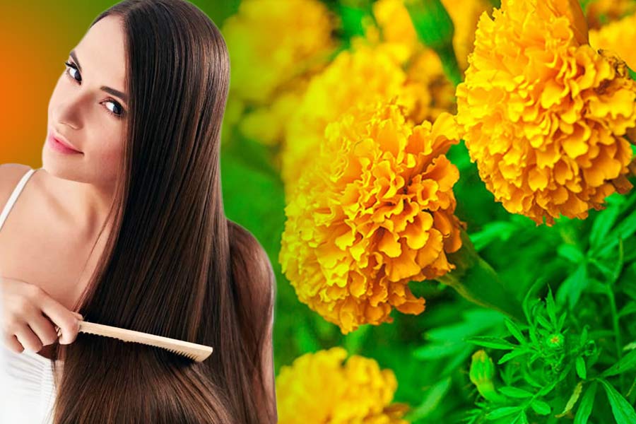 How To Use Marigold Flower To Reduce Dandruff