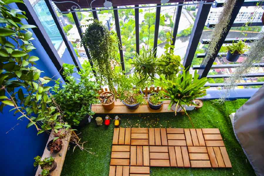 Useful hacks to take care of your plants during monsoon