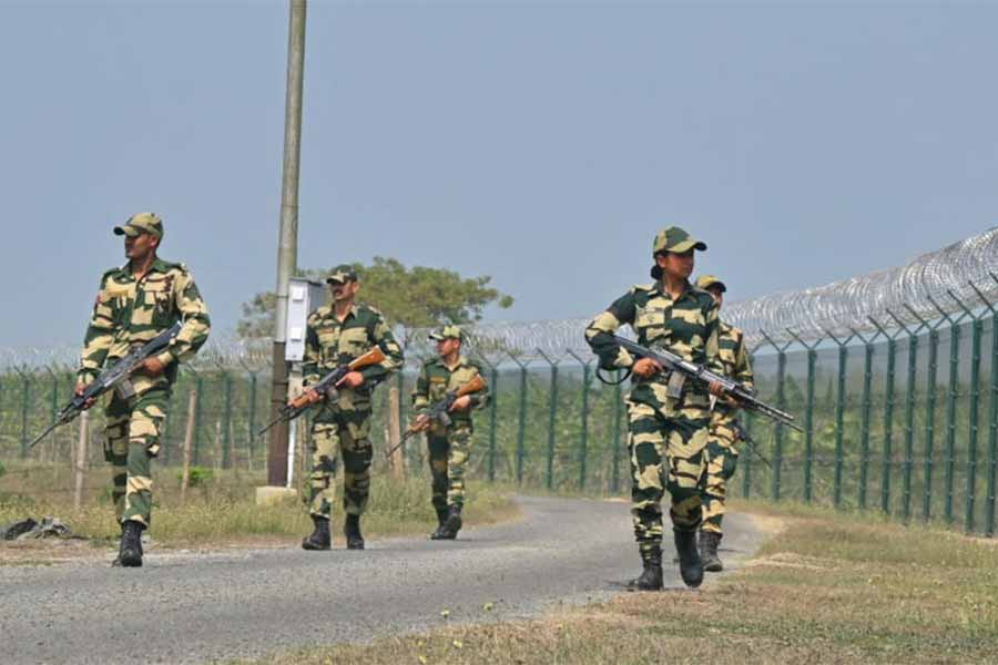 গরু পাঁচারে নজরদারী বিএসএফের।