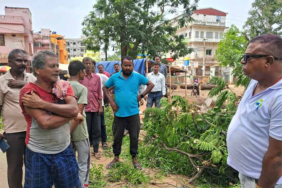 তিনটি গাছ কাটার পর খবর পেয়ে ঘটনাস্থলে গিয়ে গাছ কাটা বন্ধ করল বনকর্মীরা । বিষ্ণুপুর রবীন্দ্রস্ট্যাচু মোড় ।