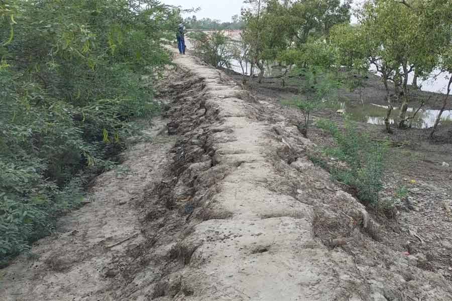 গোসাবার বিভিন্ন প্রান্তে রয়েছে এই রকম মাটির দুর্বল নদীবাঁধ।