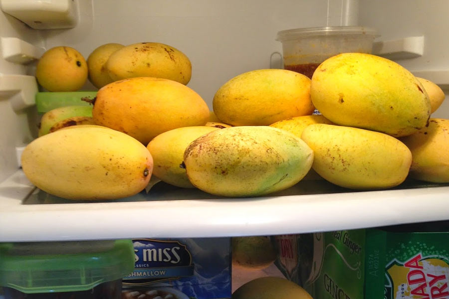 How to store ripe mangoes and prevent them from spoiling other than fridge