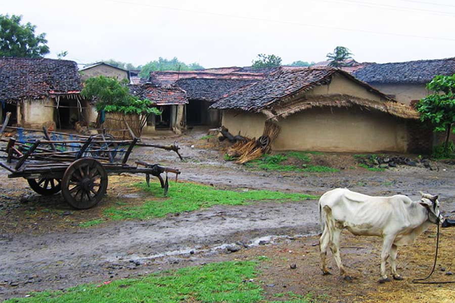 Who is Sanjeev Mukhiya and how his gang operated paper leak nexus