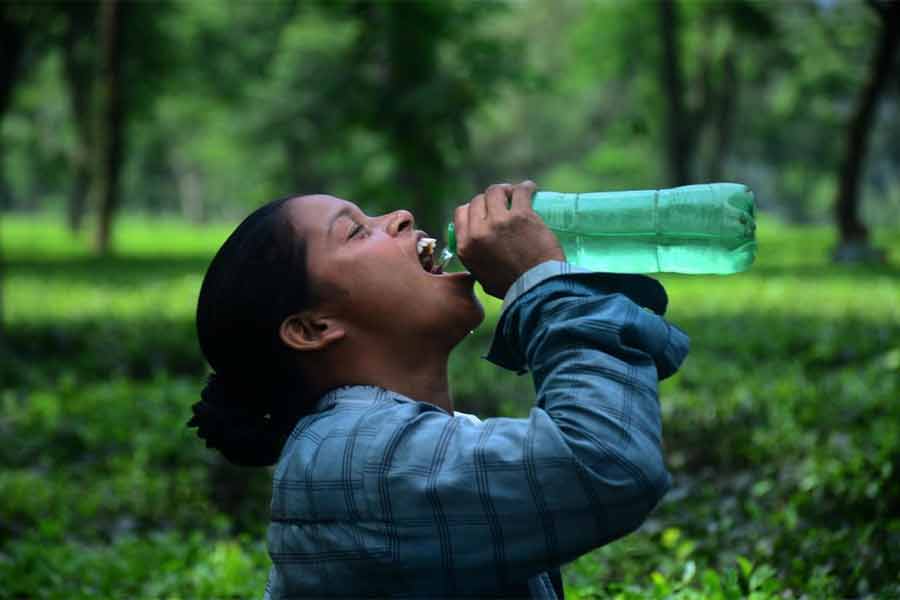 অতিরিক্ত গরমে জল পান কাজের ফাঁকে গুল্মা চা বাগানে শ্রমিক।ছবি:বিনোদ দাস