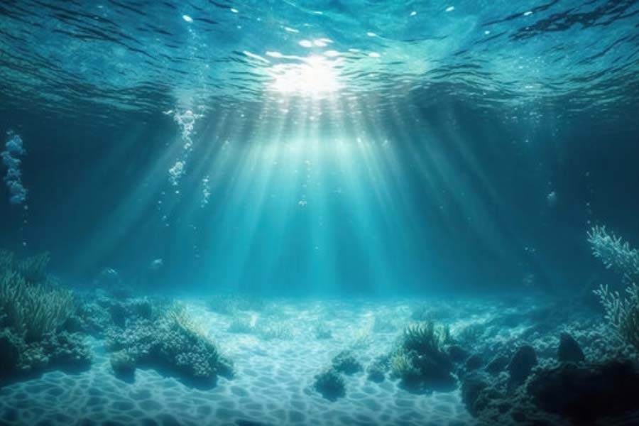 ভারতের সমুদ্রসীমা থেকে নিকিটিন পাহাড় খুব একটা দূরে নয়। তাই হিসাব মতো সেখান থেকে কোবাল্ট উত্তোলনের অনুমতি পেতে নয়াদিল্লির খুব একটা অসুবিধা হওয়ার কথা নয়। কিন্তু বাধা এসেছে অন্য দিক থেকে।