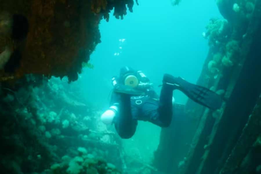 ছোট পেনসিল ব্যাটারি থেকে শুরু করে মোবাইল, ঘড়ি কিংবা আরও বড় কোনও যন্ত্র, কোবাল্ট ছাড়া ব্যাটারি তৈরি করা যায় না। ব্যাটারি তৈরির অত্যাবশ্যকীয় উপাদান লিথিয়াম। তার সঙ্গে কোবাল্টও প্রয়োজন হয়।