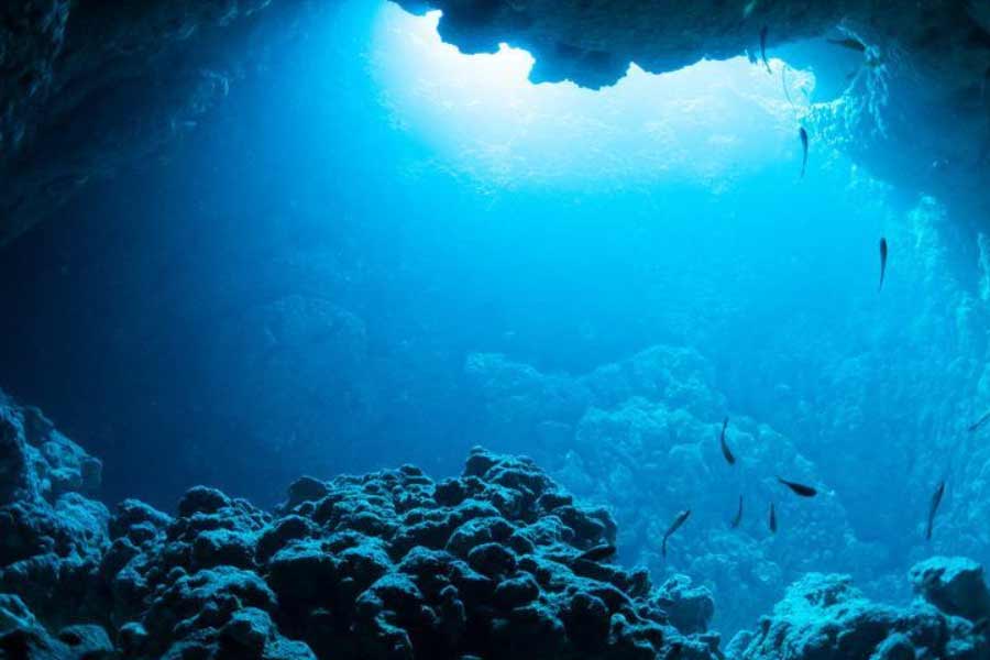 তাই শ্রীলঙ্কা ভারতের চূড়ান্ত বিরোধিতা করবে বলে অনেকেই মনে করছেন না। একাধিক রিপোর্টে দাবি, কোবাল্ট তোলার ক্ষেত্রে ভারতের আবেদন গ্রহণযোগ্য বলে বিবেচিত হতে পারে। কারণ ভারত এ ক্ষেত্রে নিকটবর্তী দেশগুলির তুলনায় সবচেয়ে বেশি যোগ্য।