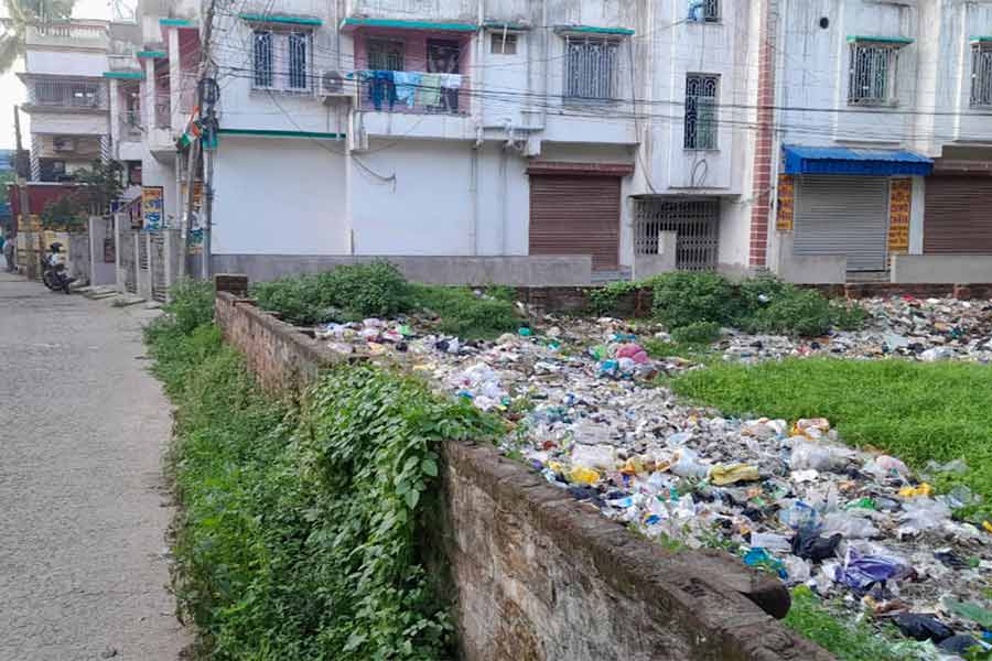 পাঁশকুড়া পুরসভার ৮ নম্বর ওয়ার্ডে রাস্তার পাশে আবর্জনার স্তূপ।