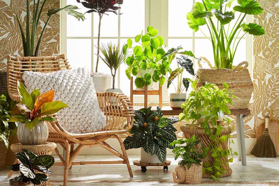 Reasons to Have Indoor garden